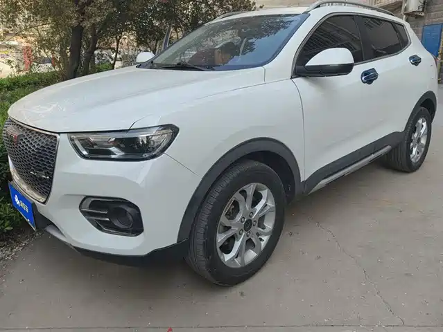 HAVAL H2S