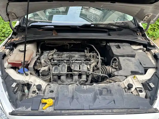 Ford Focus 2015 Hatchback 1.6L Automatic Comfort — фото 3