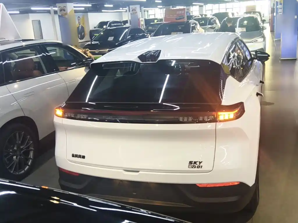 Фото 6 - Dongfeng Aeolus SKY EV01