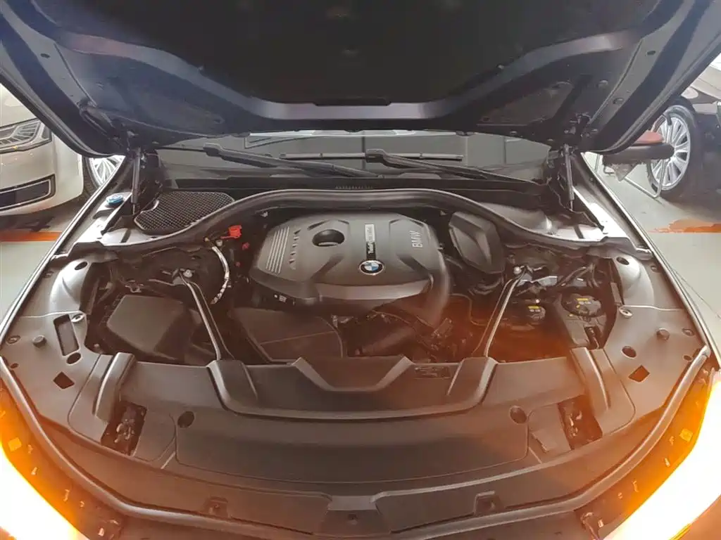 BMW 7 Series 2018 730Li Premium Type M Sport Package фото 20