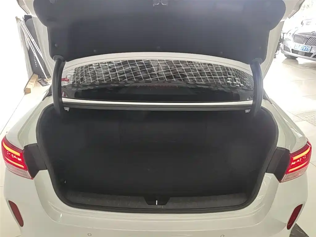 Kia K5 New Energy 2019 2.0L LUX фото 19