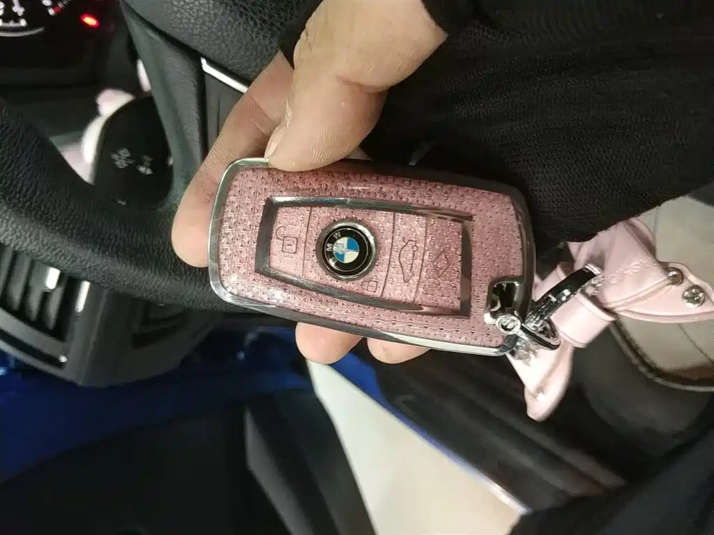 BMW 1 Series (Import) 2018 118i Leading фото 11