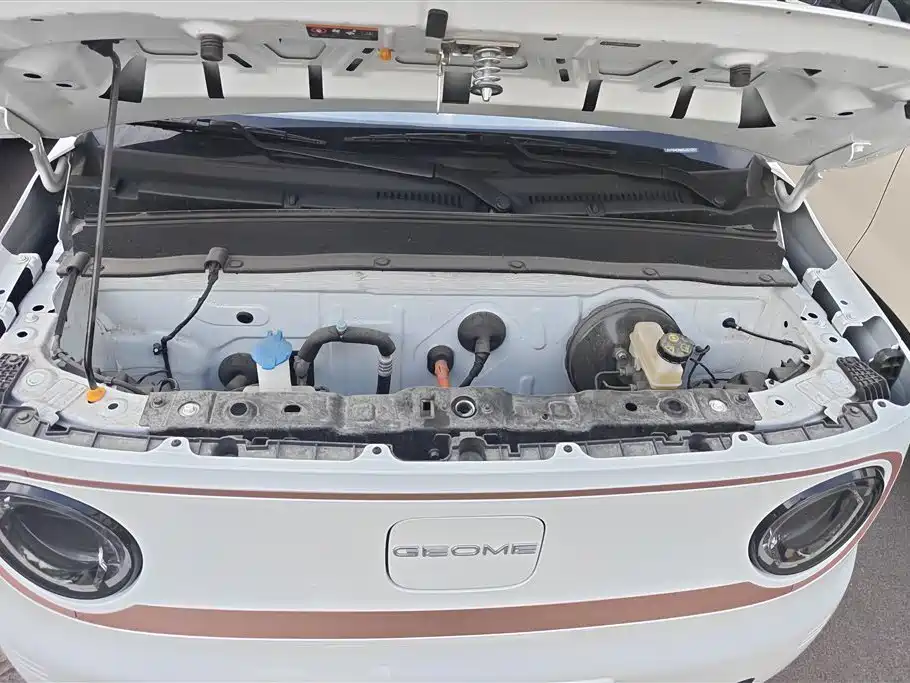 Geely Galaxy Panda 2024 Panda mini 200km Endurance Bear фото 10