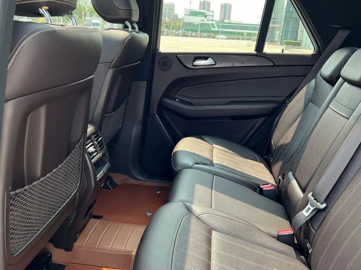 Mercedes-Benz GLE 2017 GLE 320 4MATIC Dynamic фото 8