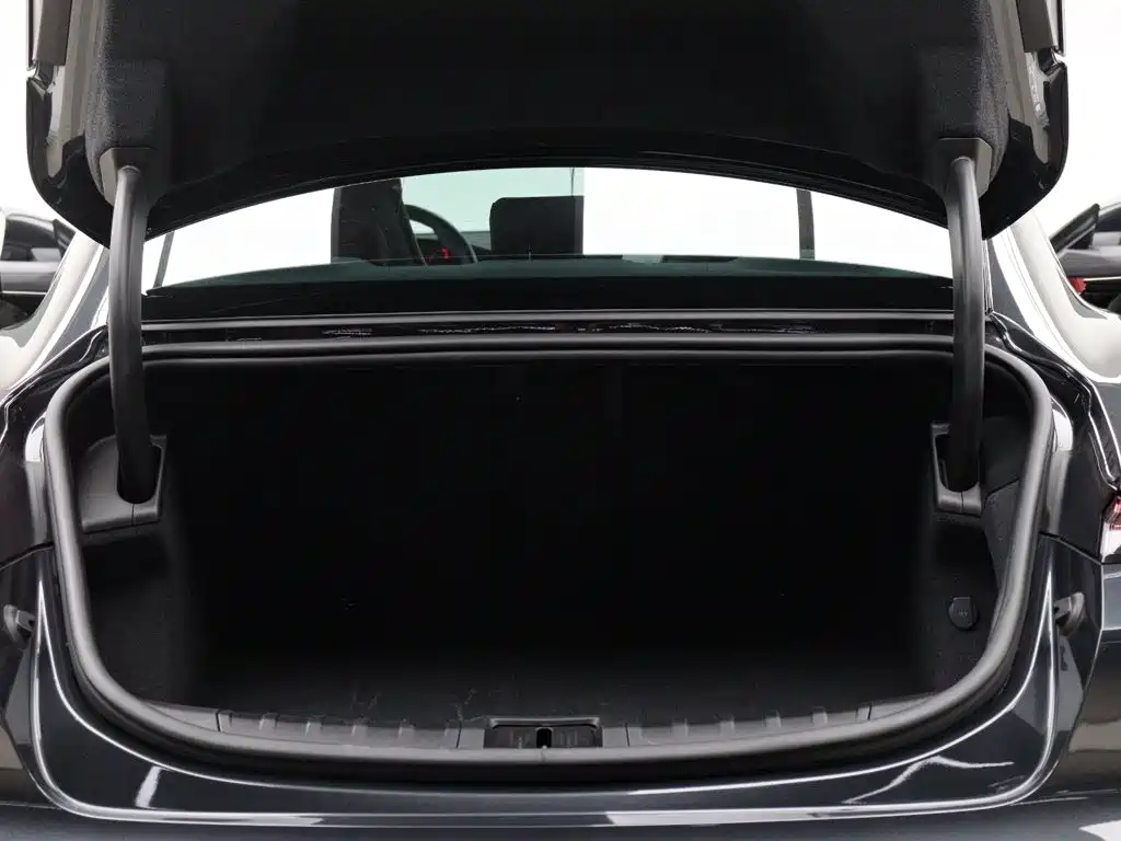 Porsche Taycan 2021 2020 Taycan