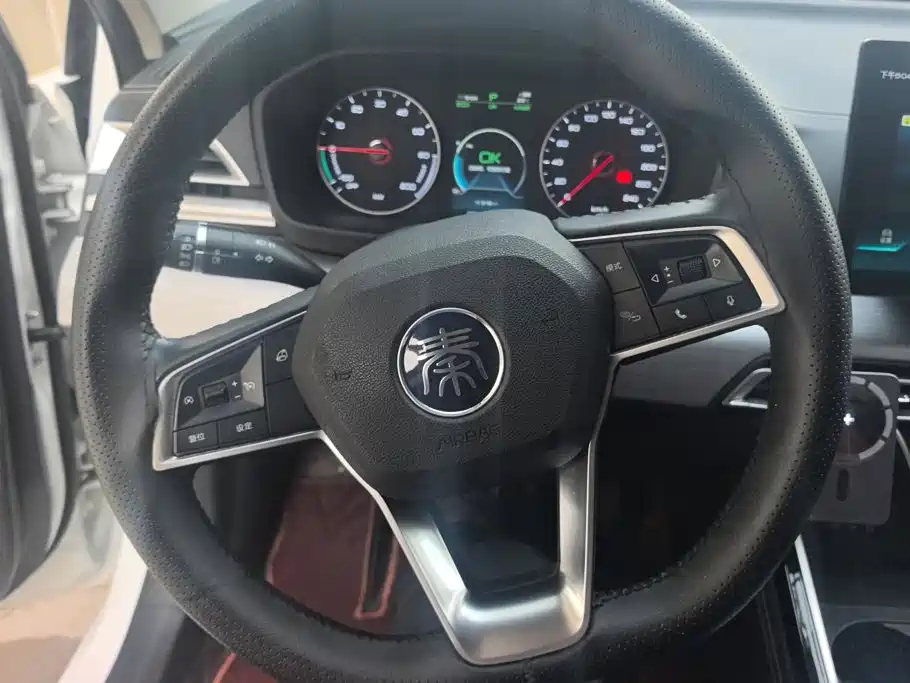 BYD Qin New Energy 2019 2019 Long Range Edition Premium