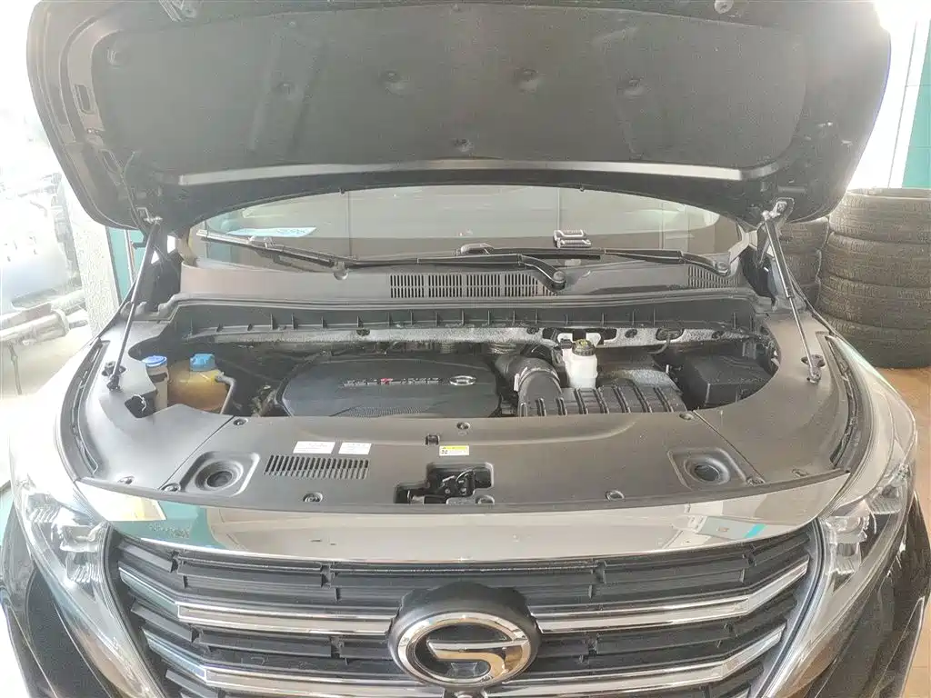 GAC Trumpchi Trumpchi M8 2021 Leading Show Series 390T Prestige Edition фото 20