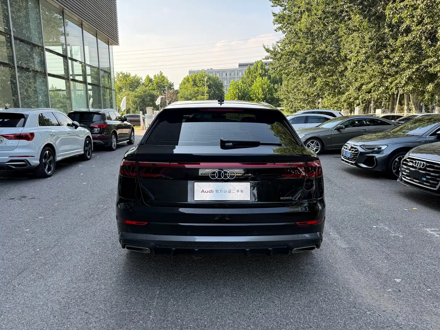 Audi Q8 2026 2024 55 TFSI Luxury Sport