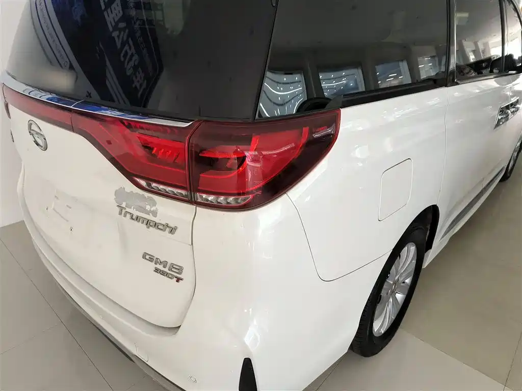 GAC Trumpchi Trumpchi M8 2020 Pilot 390T Premium Edition фото 8