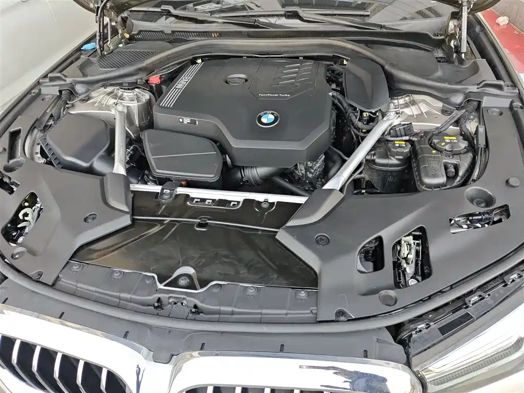 BMW 5 Series 2022 Facelift 530Li Leading Luxury Package фото 20