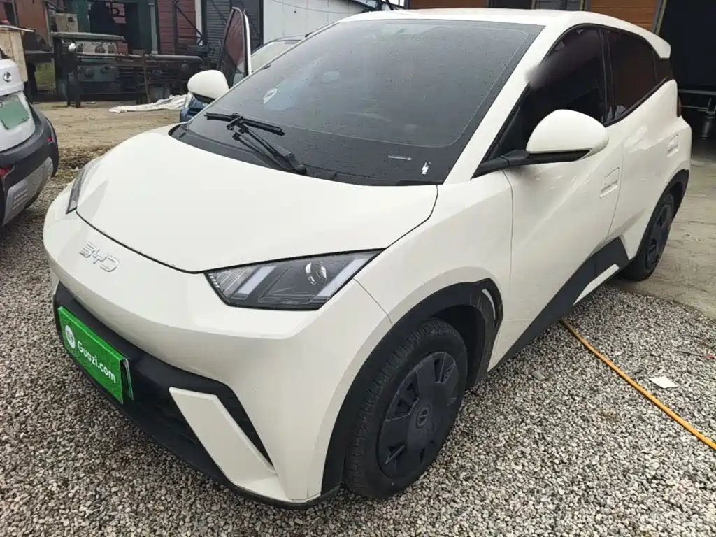 BYD Seagull 2024 Glory Edition 305km Vitality Edition