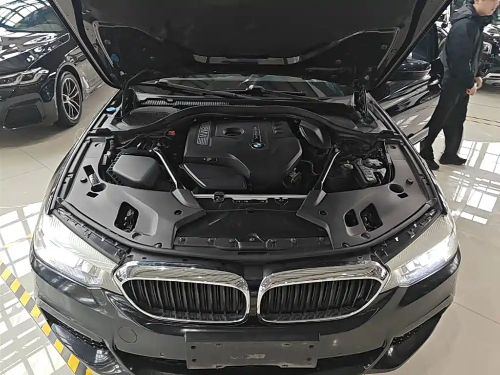 BMW 5 Series 2018 530Li xDrive M Sport Package фото 20