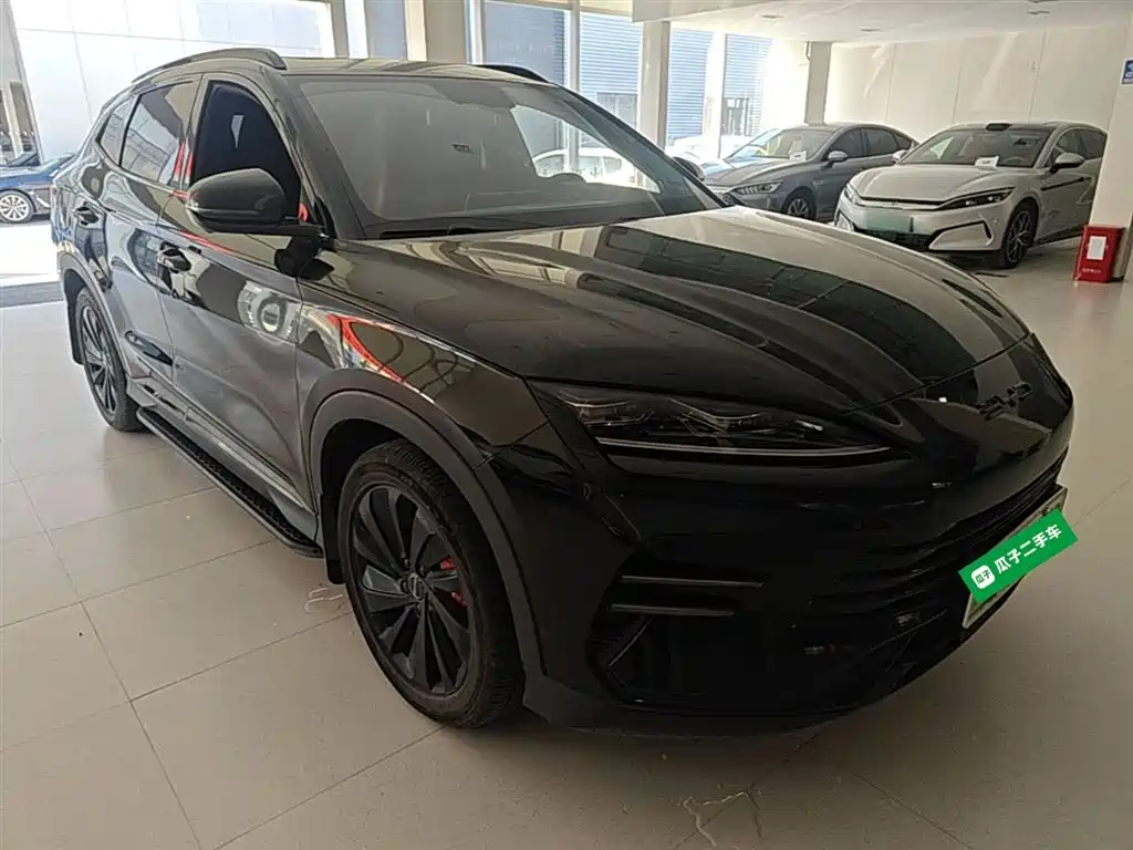 BYD Song PLUS PHEV 2024 Glory Edition DM-i 110km Flagship фото 4