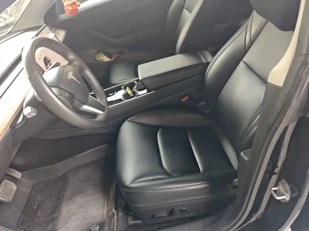 Tesla Model 3 2020 2020 Standard Range Rear-Wheel Drive Upgrade