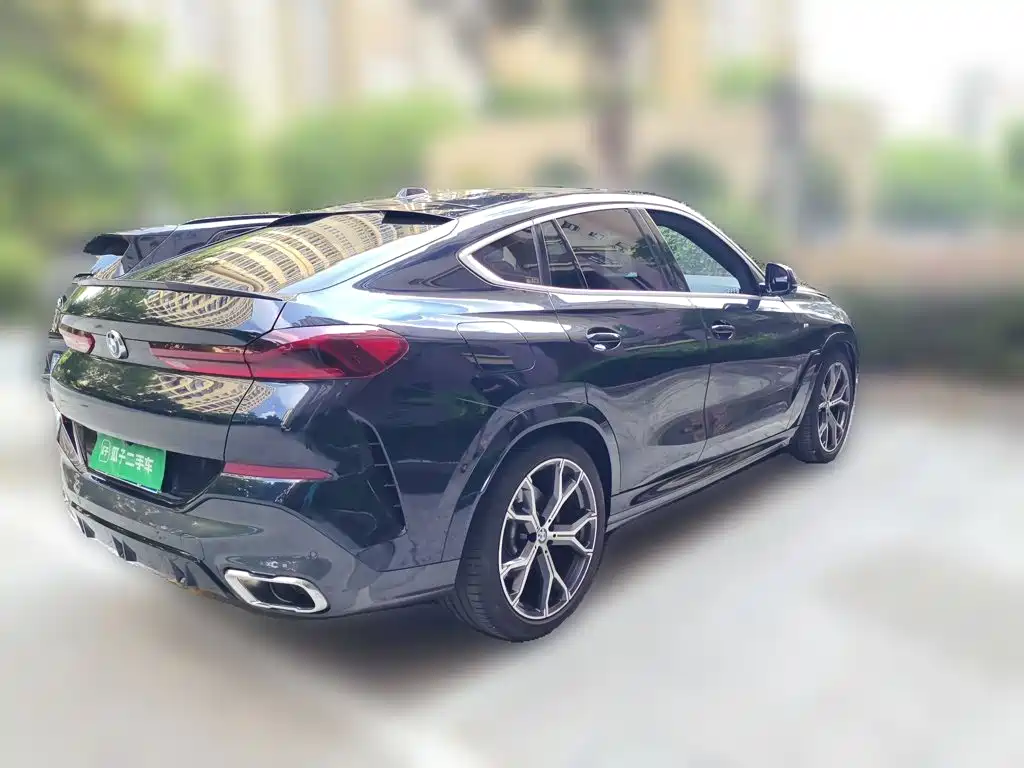 2024 BMW X6