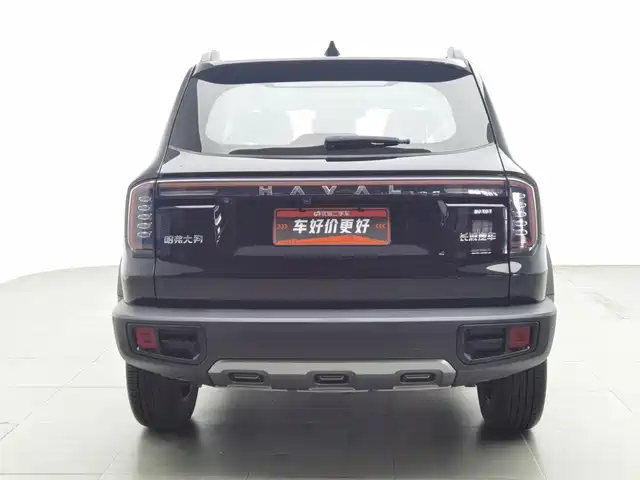 Haval Big Dog 2024 1.5T DCT Border Collie Edition — фото 4