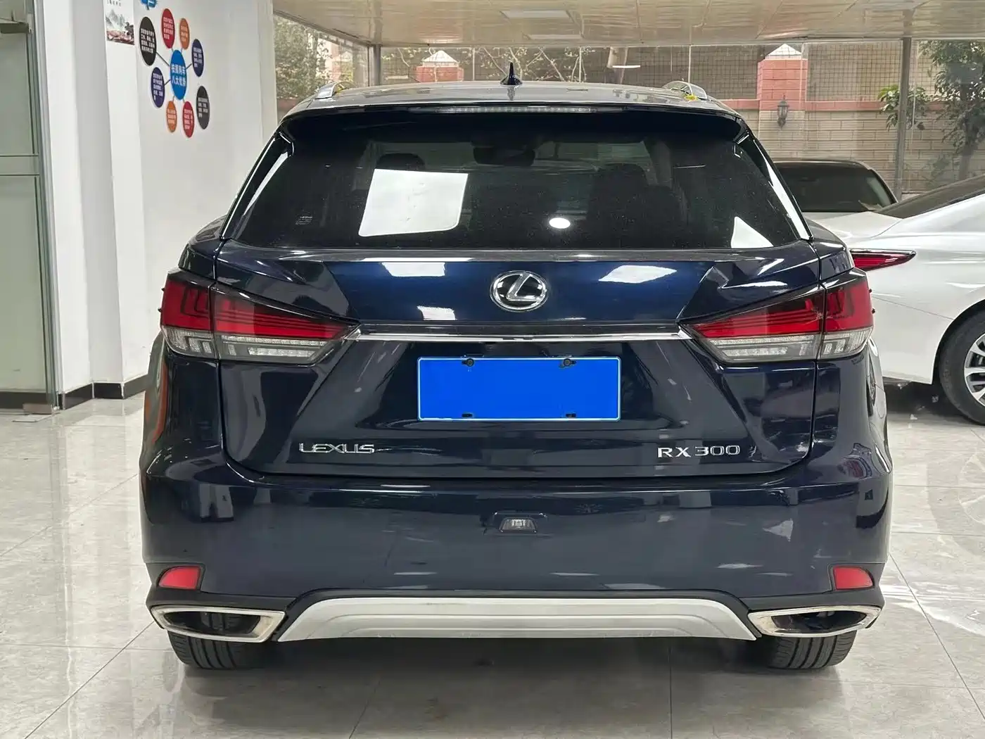 Lexus RX 2020 300 4WD Elegance Edition China VI фото 9