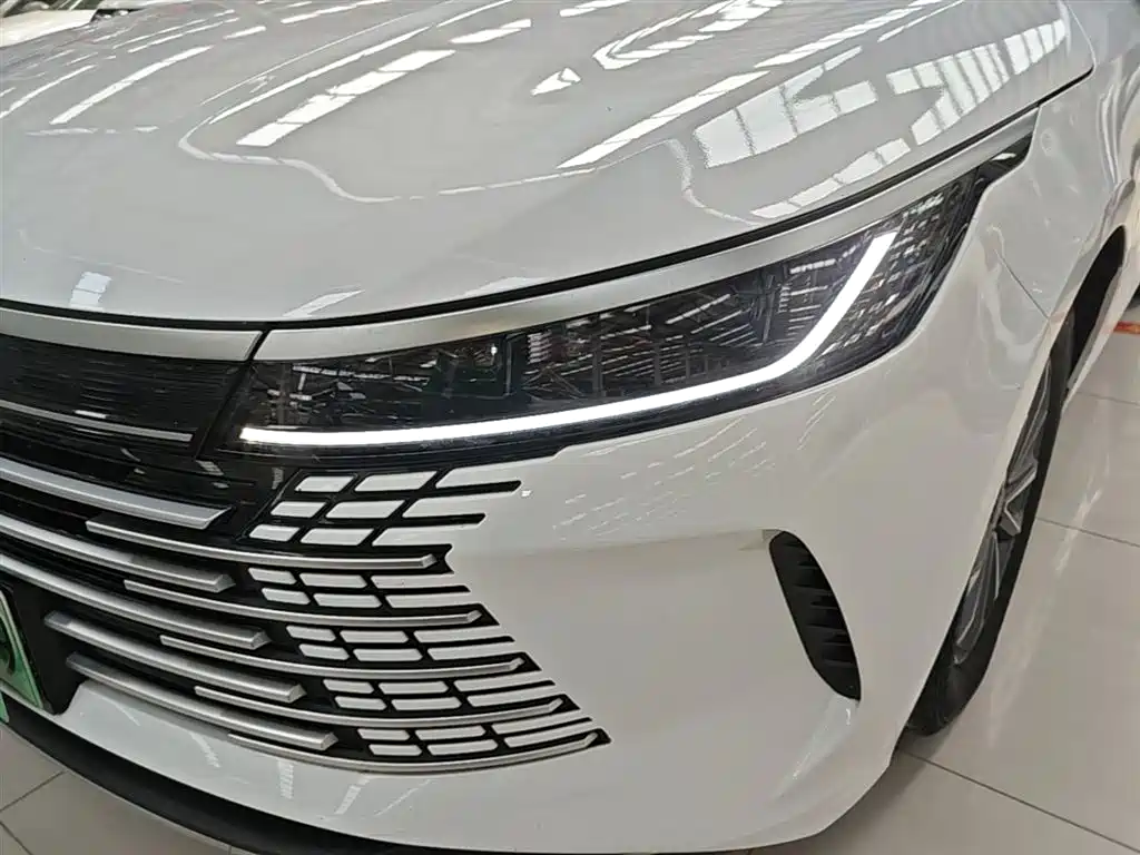 BYD Destroyer 05 2024 Glory Edition DM-i 55KM Luxury фото 24