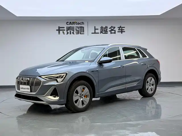  Audi Audi e-tron 2021 50 quattro Luxury