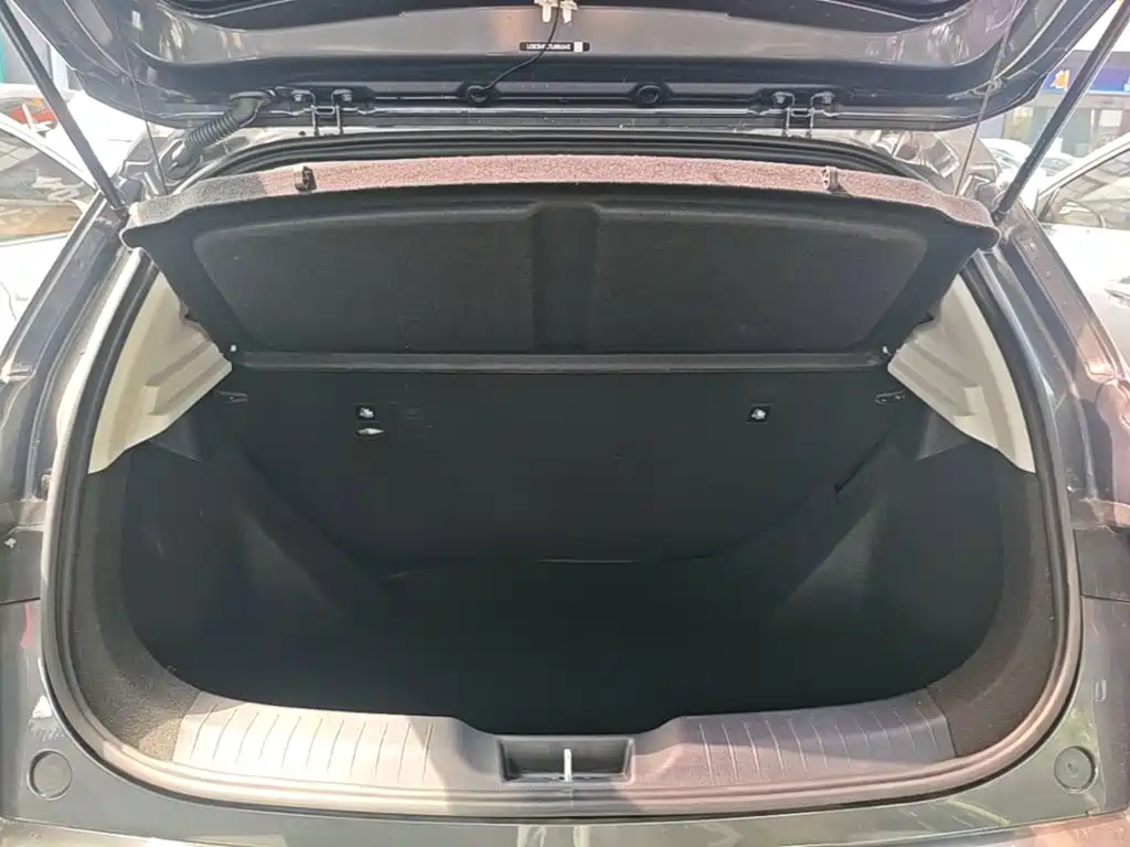 BYD e2 2021 2020 Upgraded Standard Range Comfort