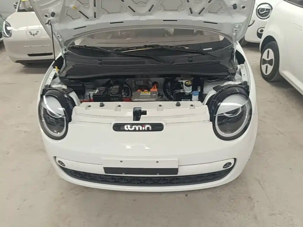 Changan Lumin 2026 2026 Model 205km Treasure Edition