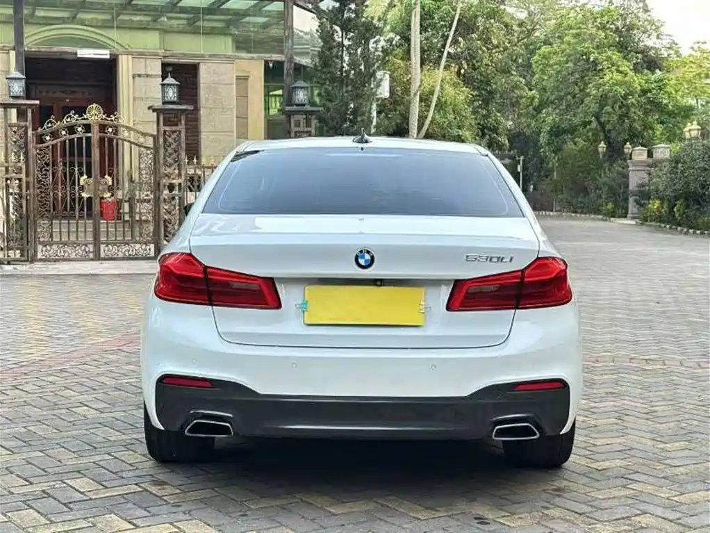 BMW 5 Series 2019 530Li Leading M Sport Package фото 5