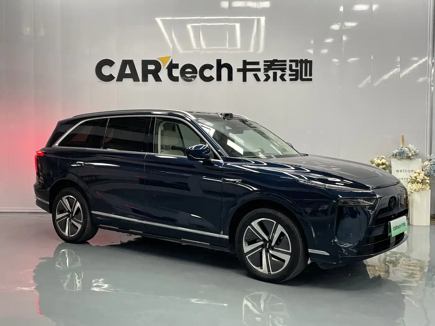 WEI PAI WEI BRAND BLUE MOUNTAIN