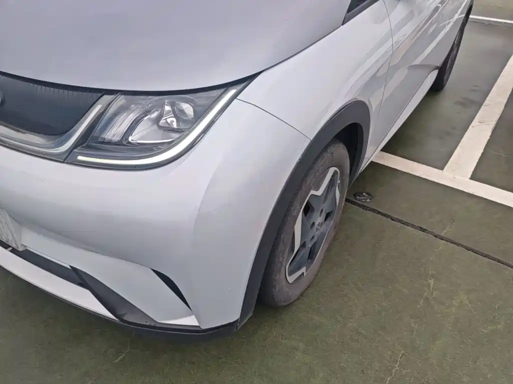 BYD Dolphin 2022 2021 405km Freedom Edition