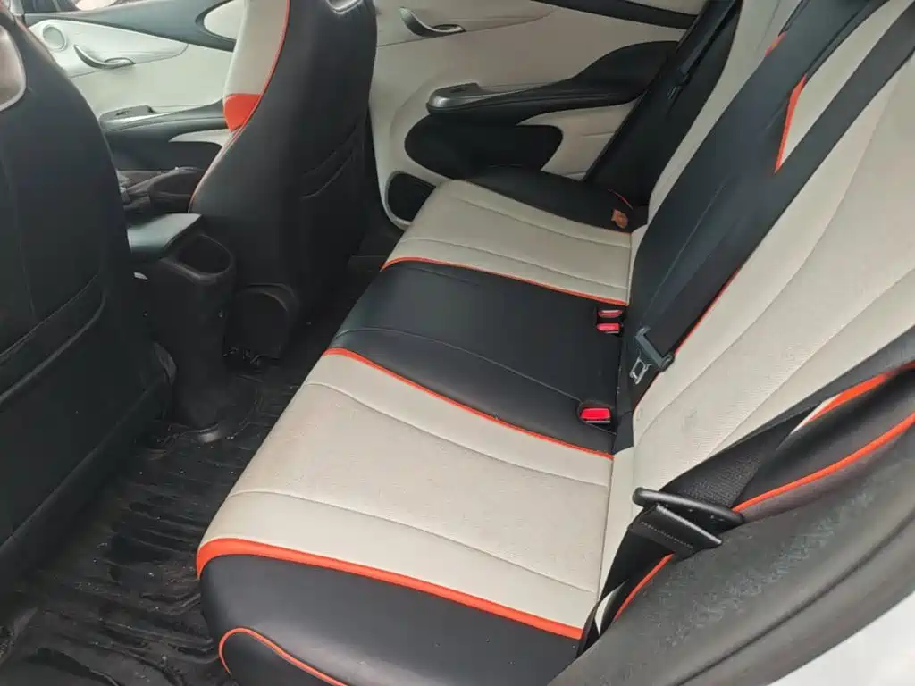 BYD Dolphin 2022 2021 405km Freedom Edition