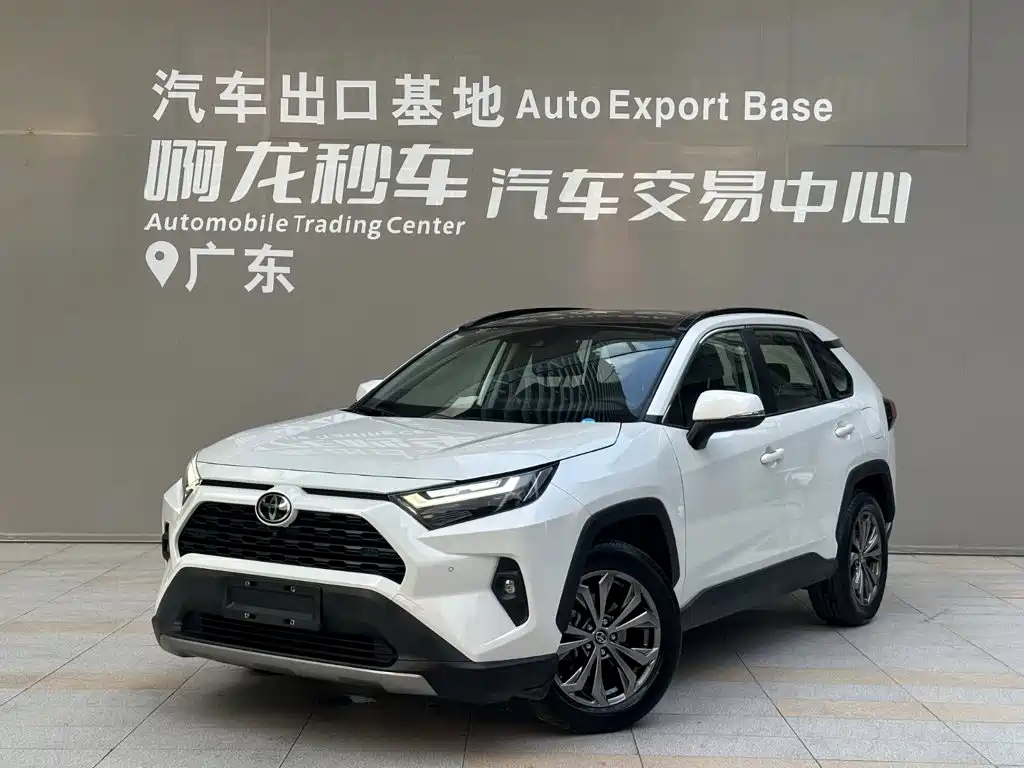 Toyota RAV4 Rongfang 2023 2.0L CVT 2WD 20th Anniversary Platinum Edition