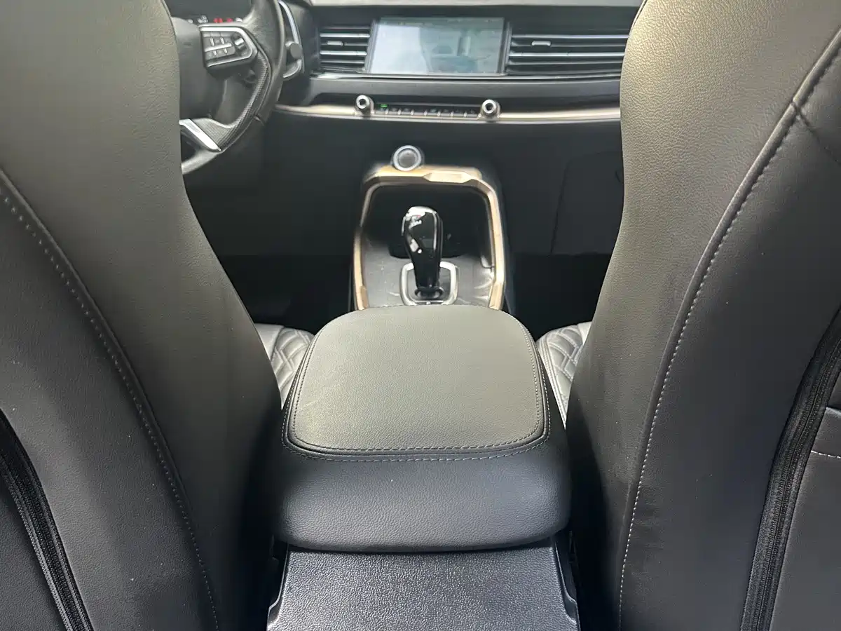 Haval H6 2020 1.5GDIT Automatic Platinum Luxury Edition фото 14
