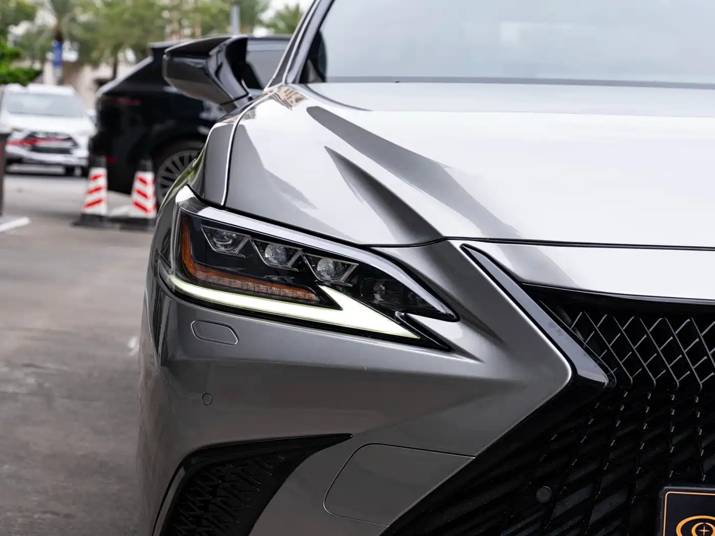 Lexus ES 2018 260 F SPORT (China V) фото 6