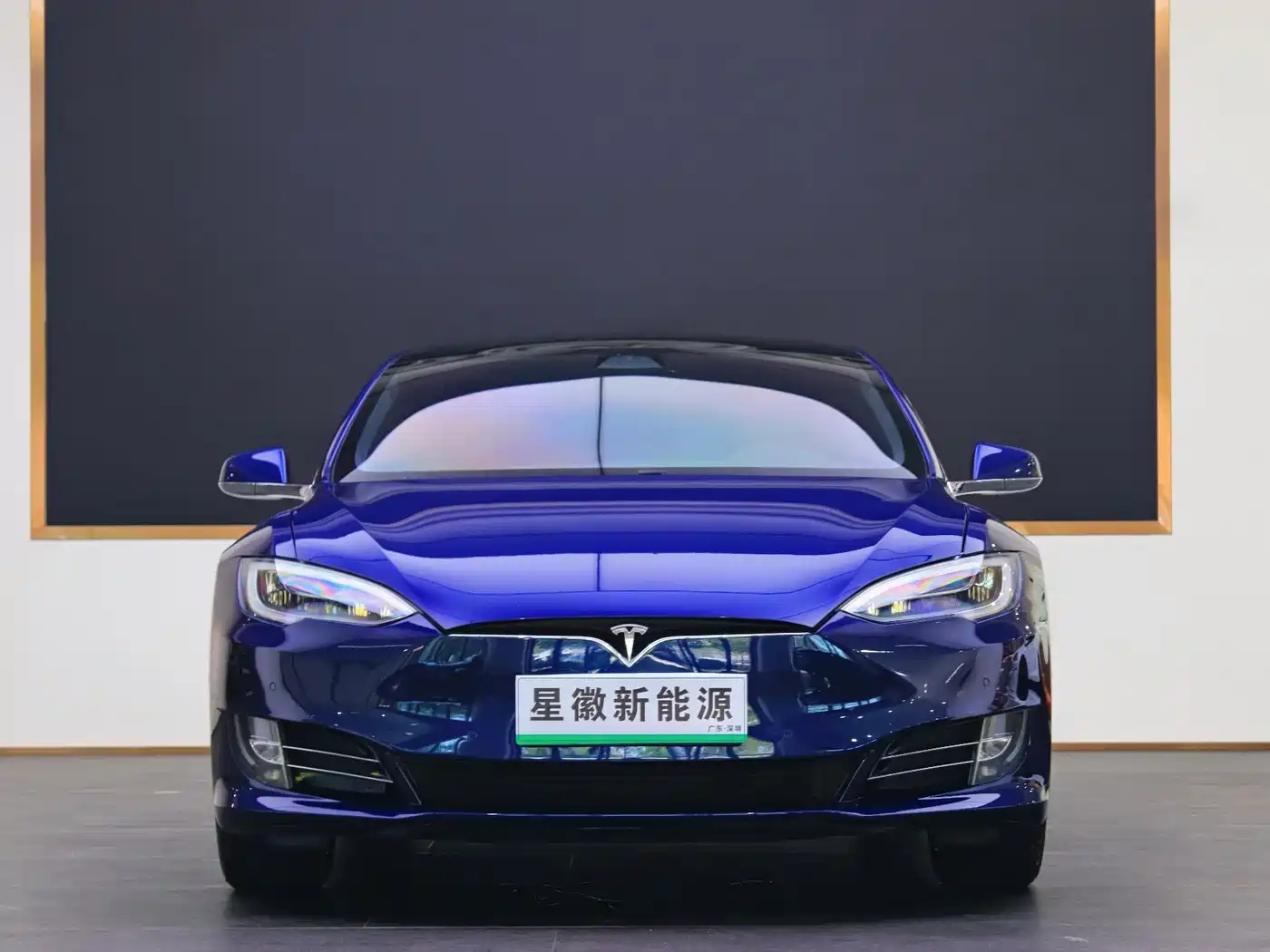 TESLA MODEL S