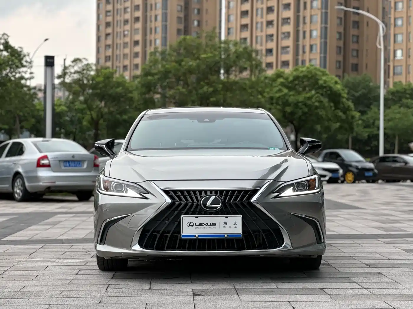 Lexus ES 2021 260 Excellence Edition фото 2