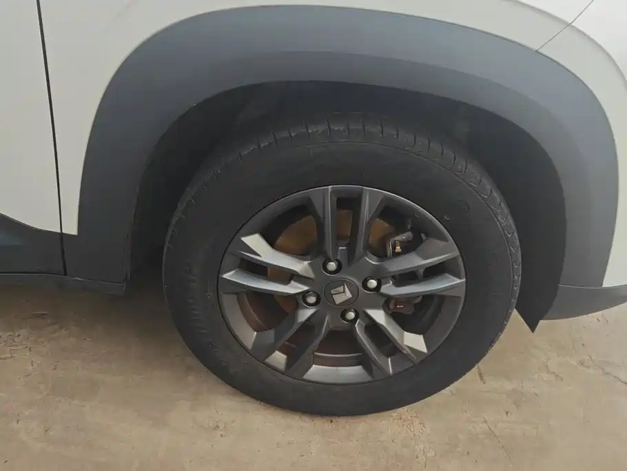 صورة 6 - Baojun RS-3