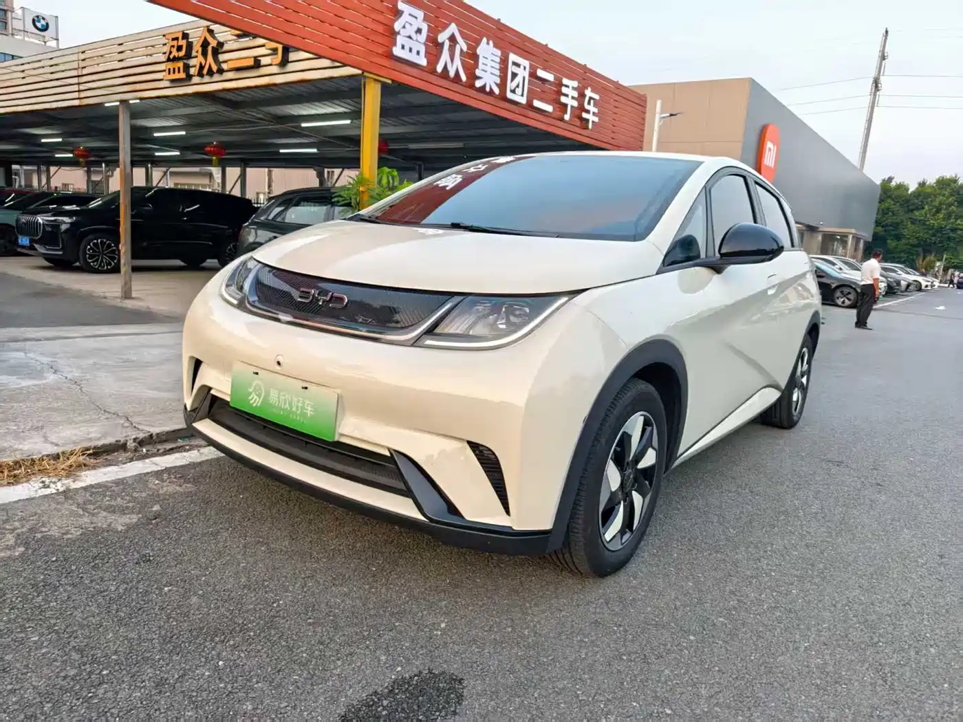 BYD Dolphin 2024 Glory Edition 420km Freedom Edition