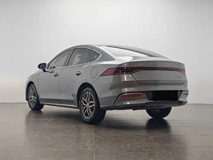 BYD Qin PLUS 2024 Glory Edition DM-i 55KM Surpass фото 7