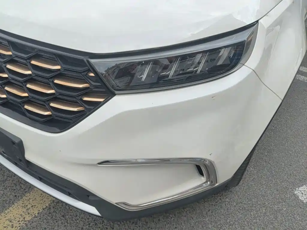 Ford Territory EV 2020 2019 Silent Leader Edition