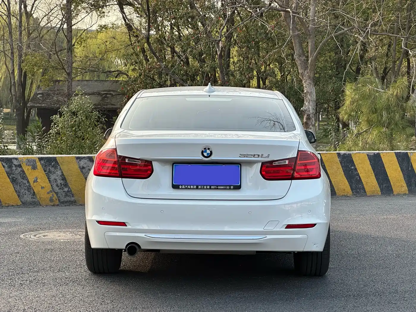 BMW 3 Series 2014 320Li Style Design Package фото 20