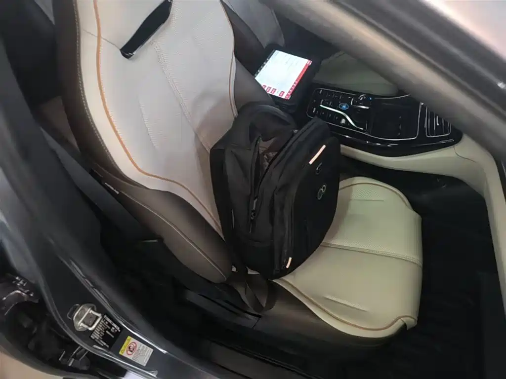 BYD Qin PLUS 2024 Glory Edition DM-i 120KM Leading фото 25