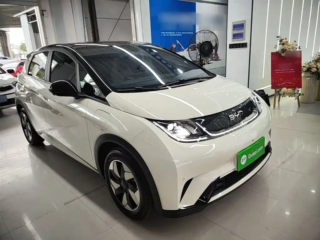 BYD Dolphin 2024 Glory Edition 420km Fashion Edition фото 4