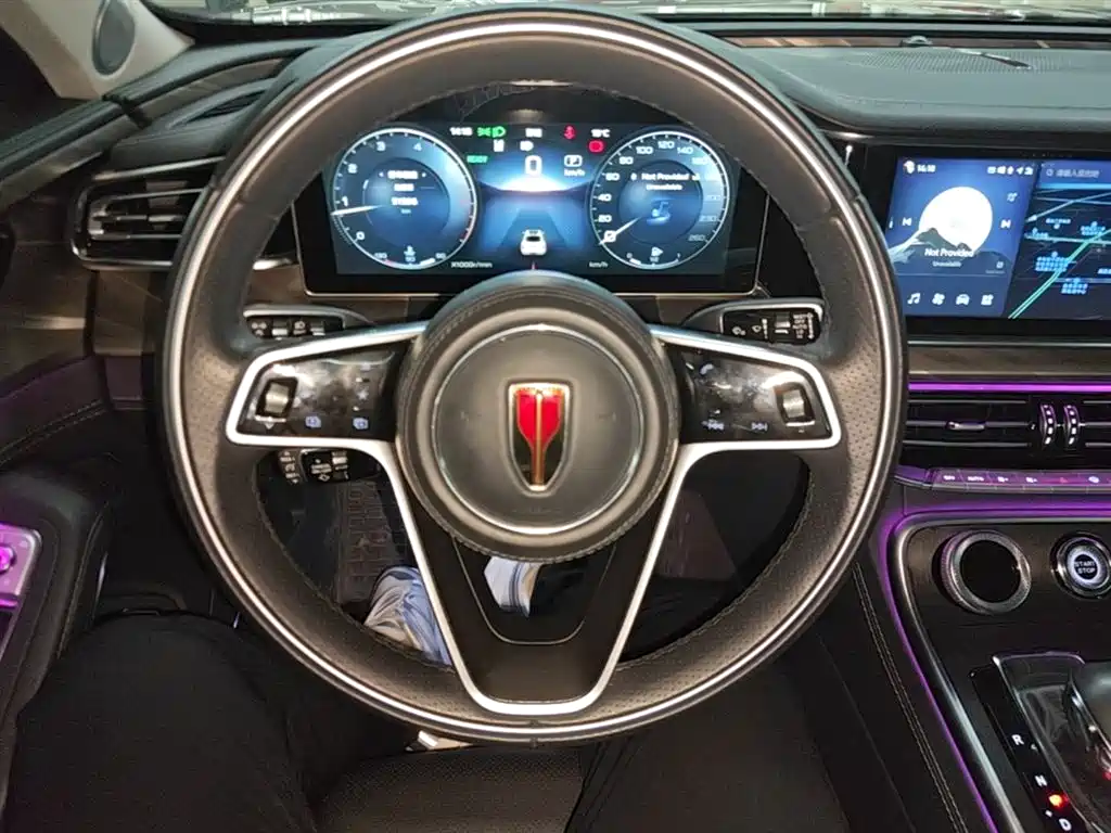 Hongqi H9 2020 2.0T Smart Connection Qi Xiang Edition фото 11