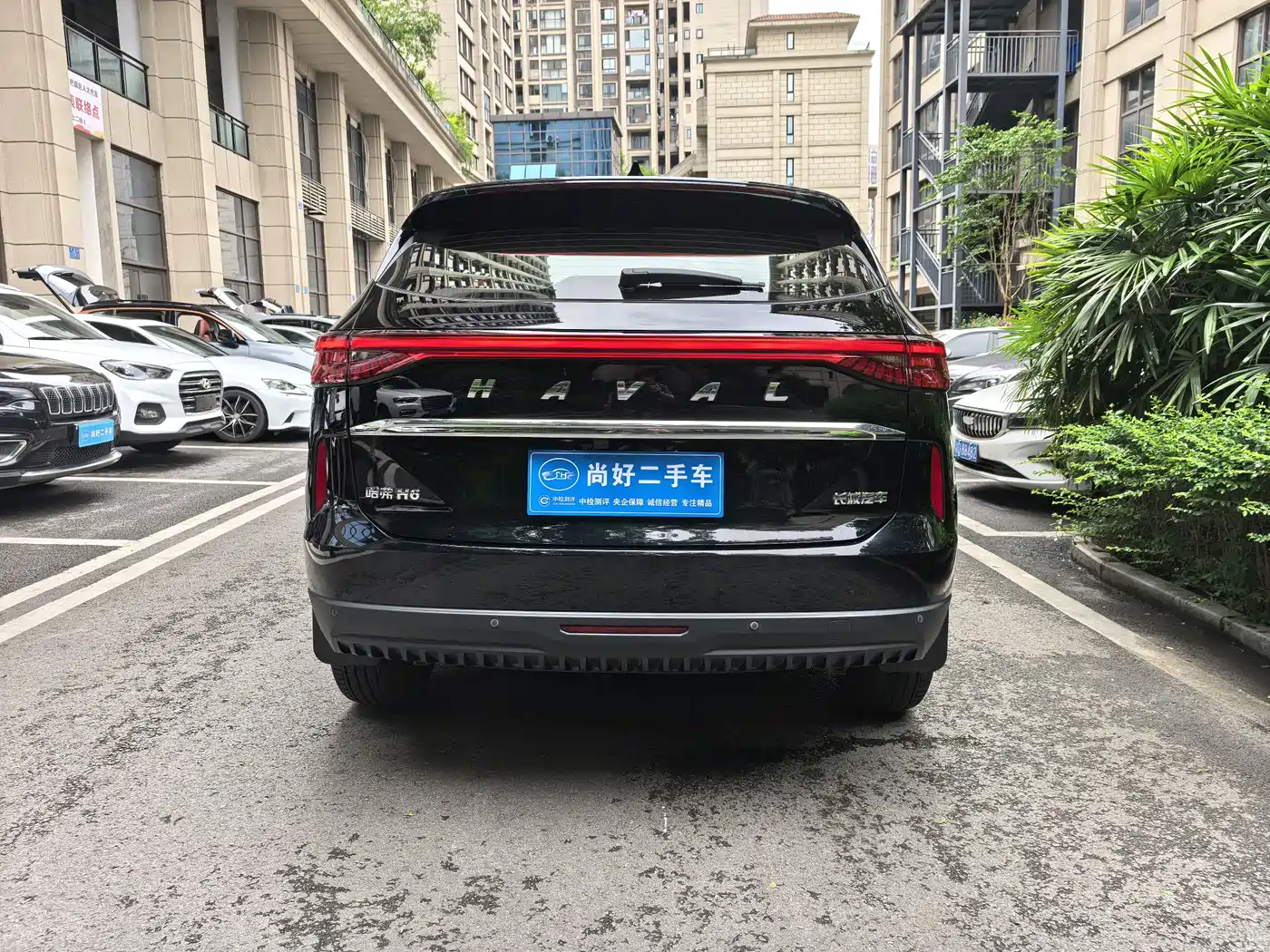 Haval H6 2024 Model 1.5T 2WD Classic Edition фото 11