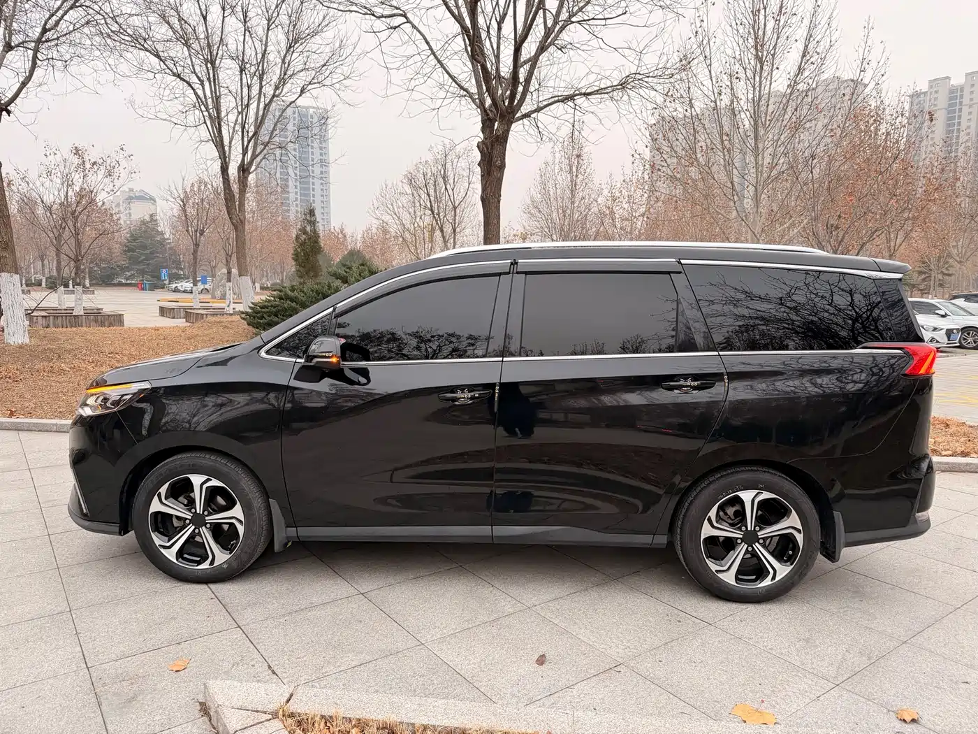 SAIC MAXUS CHASE G50