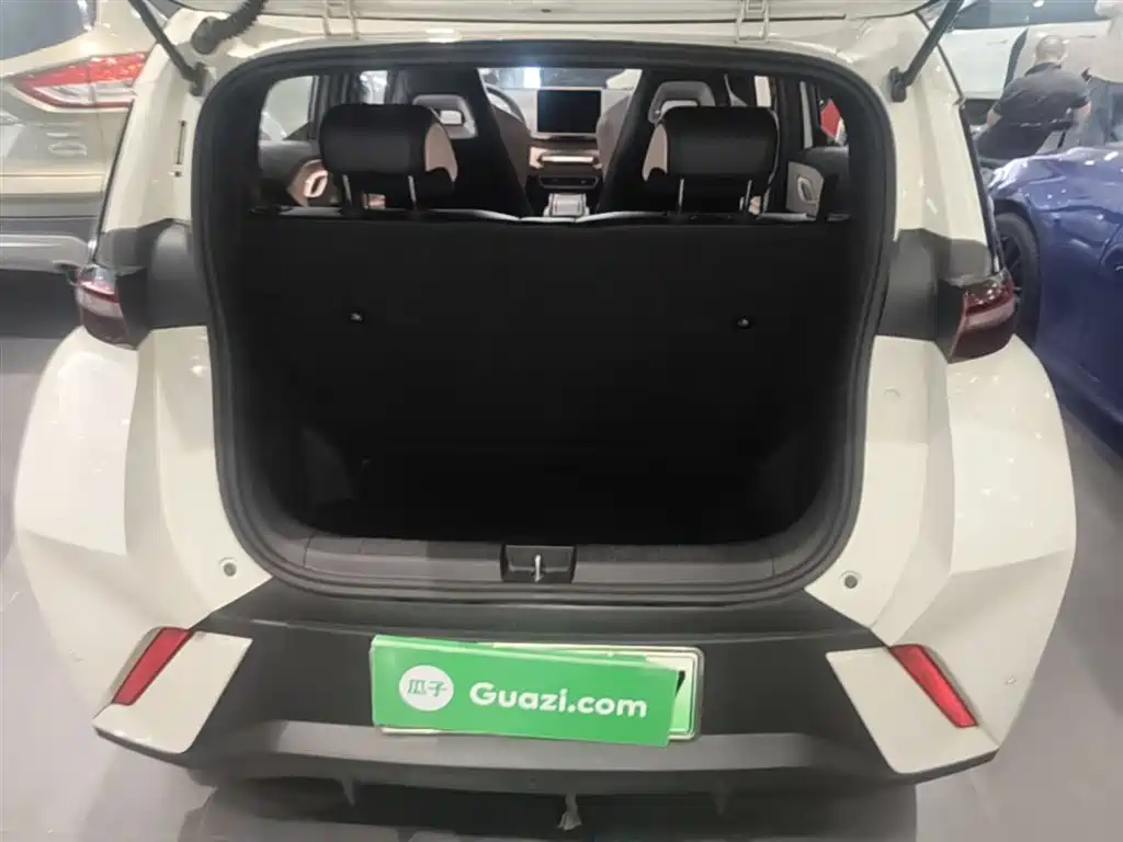 BYD Seagull 2024 Glory Edition 305km Freedom Edition фото 19