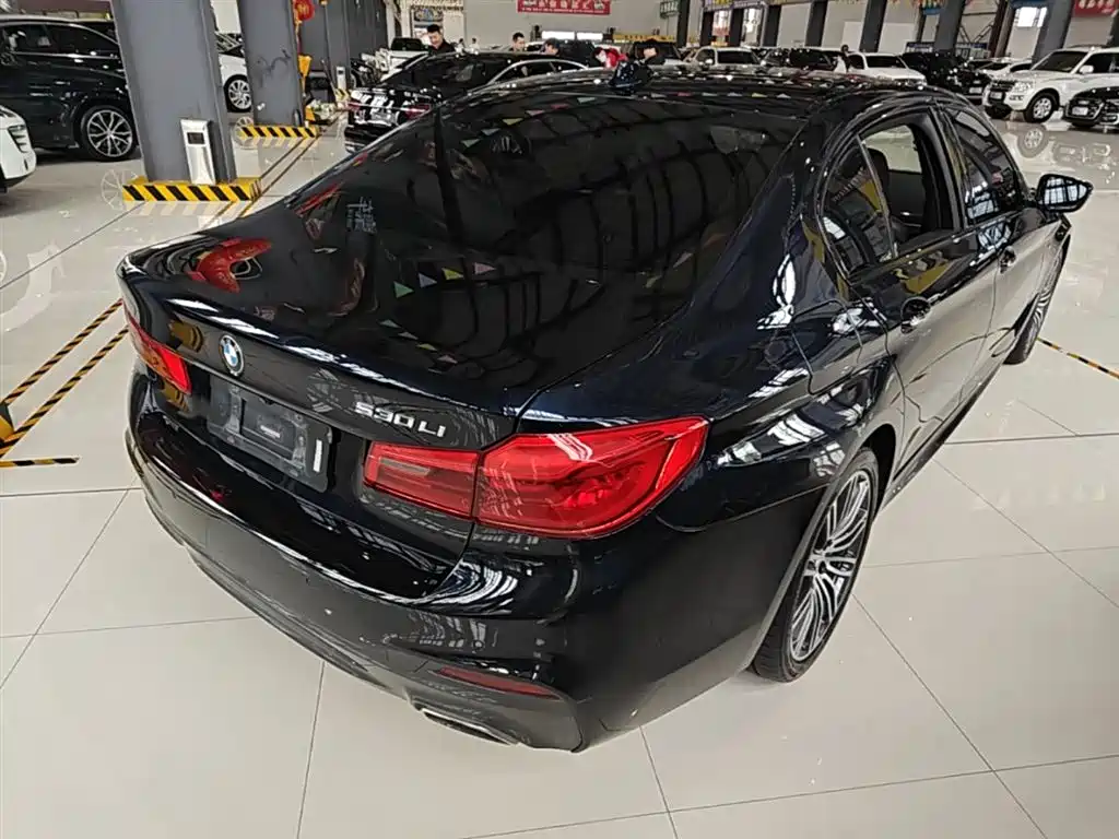 BMW 5 Series 2018 530Li xDrive M Sport Package фото 7