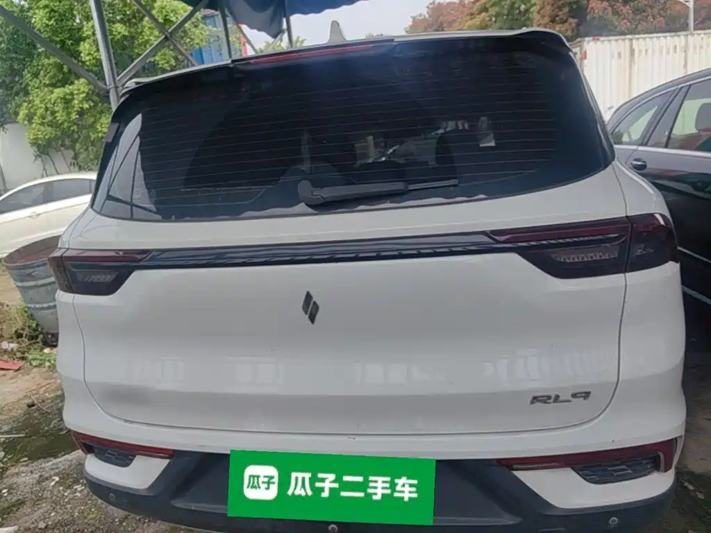 Ruilan Auto Ruilan 9 2024 2023 470km Executive Version