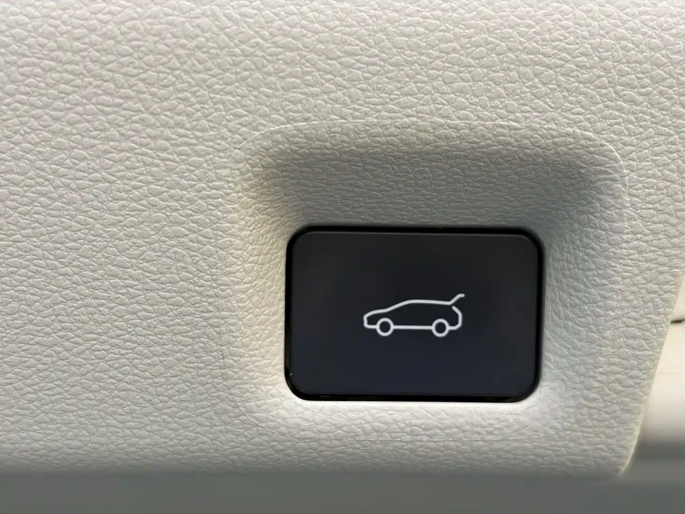 Dongfeng Fengxing Starlight V9 2024 2024 1.5TD 200km Cloud Ladder Series Premium