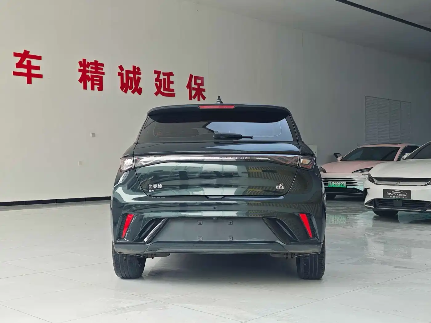 BYD Dolphin 2023 420km Fashion Edition фото 8