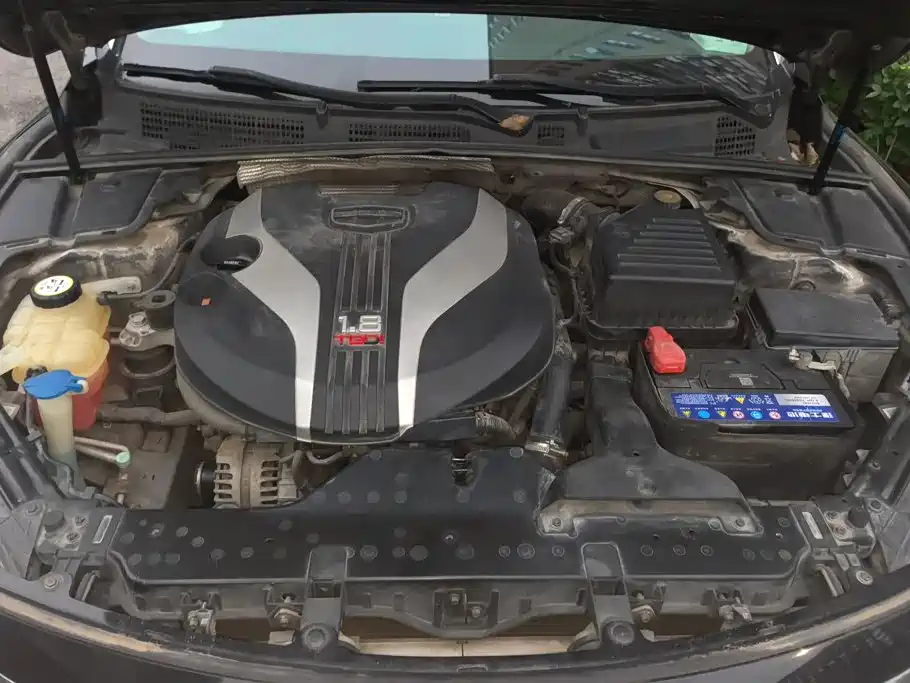 صورة 10 - Geely Borui